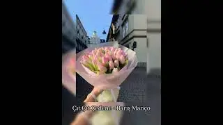 Barış Manço - Çıt Çıt Çedene