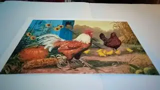 Петух-хвастун. Адыгейская сказка