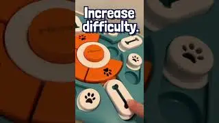 PUPPY PUZZLE SETUP & DEMO 