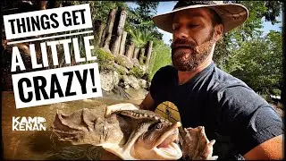 Time to find all my Big Pond Turtles!