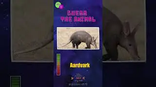 Guess the Animal Challenge 🐾  How Many Can You Name?