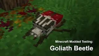 Minecraft Modded Testing - Goliath Beetle