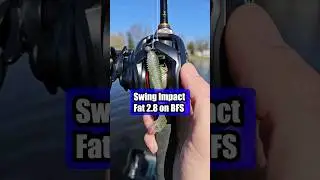 Casting Keitech Swing Impact Fat 2.8 on Daiwa Tatula BF70 