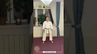 Хейан Сёдан  ката