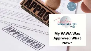 Lilly Legal | Tuesday Immigration Tips | My VAWA Was Approved What Now?