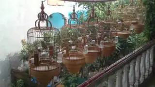 Khuyen Mr Phuc.mp4