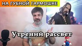 Утренний рассвет на губной гармошке (кавер Король и Шут)