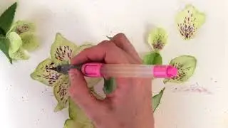 Paint with Me Watercolor Wildflowers