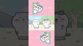 ハチワレのパスタダンス short version