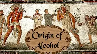 Origin of Alcohol