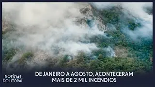 Governo de SP prende 20 pessoas envolvidas em queimadas | JCL