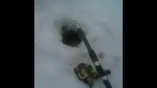 Зимняя рыбалка на вкусную сельдь на озере ))