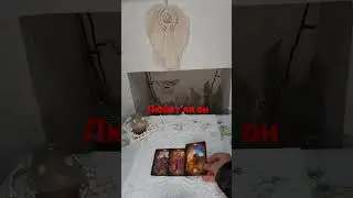 любит ли он меня 