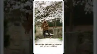 Egy dalban elmondott őszinte ima 🙏🏻 Teljes klip a csatornán ✌🏻 #prayer #rap