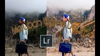 Cara Mengedit Foto Daun Menjadi Kuning di Android ||Lightroom tutorial