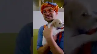 Blippi's Puppy Party #shorts #puppy #Blippi