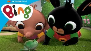 Bing liebt Tiere! | Bing: Die Besten Bits | Bing Deutsch