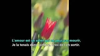 "Fais La Rire d' Hervé Vilard" interprété par Anh Tuan (Lyrics)