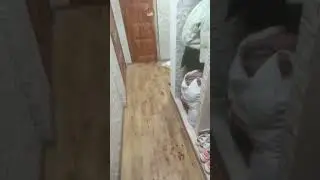 Residents of a house in Uman show the first footage.