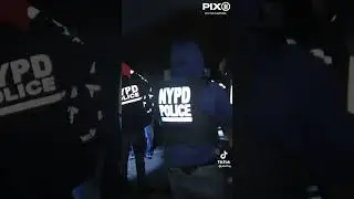 В северном Бруклине Gang unit Отработал