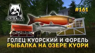 Голец Куорский и Форель. Рыбалка на озере Куори - Русская Рыбалка 4 