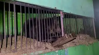 У Лапушки проблема - вытолкнула тарелку, а назад никак не получается.