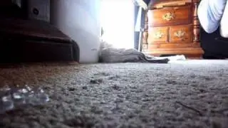 Ray Unicorno Unboxing