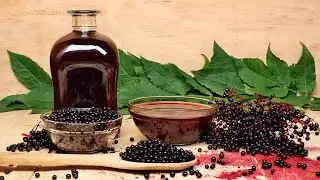 What are the benefits and risks of black elderberry?