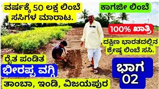 02# ಕೋಟ್ಯಾಧೀಶ ರೈತನ ಲಿಂಬೆಯ ಕೃಷಿಯ ಪದ್ದತಿ||Lemon Farming||Billionaire Farmer||Bhirappa Waggi.IGKannur