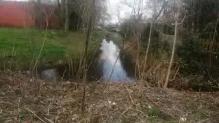 Отправить
