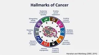 What Causes Cancer?