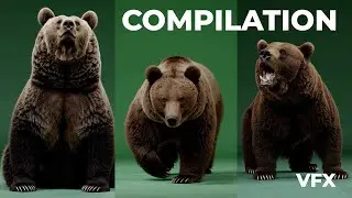 Bear Compilation – Free Green Screen Stock Footage 11 Clips