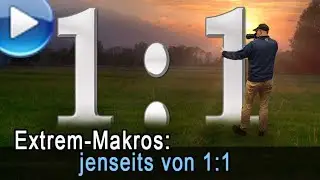 Extreme Makrofotografie jenseits von 1:1 - das richtige Equipment!