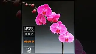 Iris Dee Jay - Hanging On [RELAX SINGLE] 2024