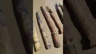 A Taper Candle Is A Very Versatile Tool