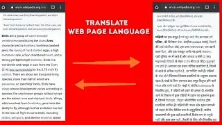 How to translate language of web page