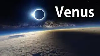 Venus - Michael White I NCS No copyright music