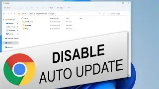 How to Disable Auto Update in Chrome on Desktop and Android
