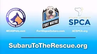 Subaru To The Rescue 2