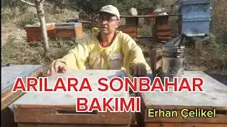 Arılarda sonbahar bakımları #varroa #besleme #nosema