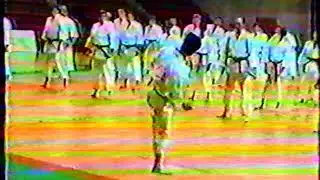 Kagawa sensei super high kicks