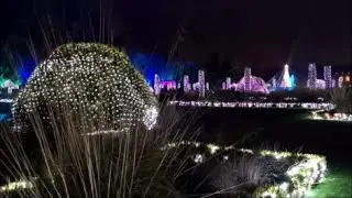 Trentham Gardens Christmas Lights