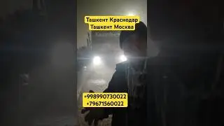 Автобус Ташкент Краснодар, автобус Ташкент Москва, 