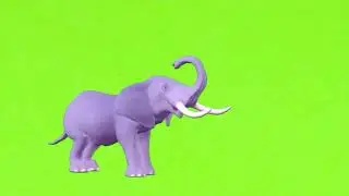 Elephant green screen/Walking elephant green screen/carton elephant/elephant green screen video/হাতি
