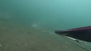 На дне