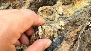 SHOCKED THE WORLD..,! AMAZING GOLD DISCOVERY, GOLD PROSPECTING, GOLD RUSH, TRADITIONAL GOLD PANNING