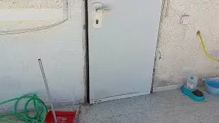 My Cat Learned To Open Doors