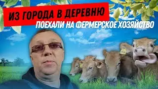 Поехали на Фермерское хозяйства , Из города в деревню.
