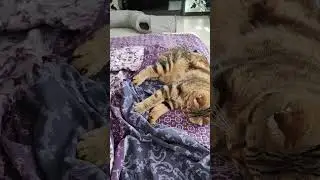 Попрыгушки- поскакушки.