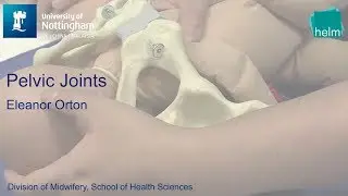 Pelvic Joints